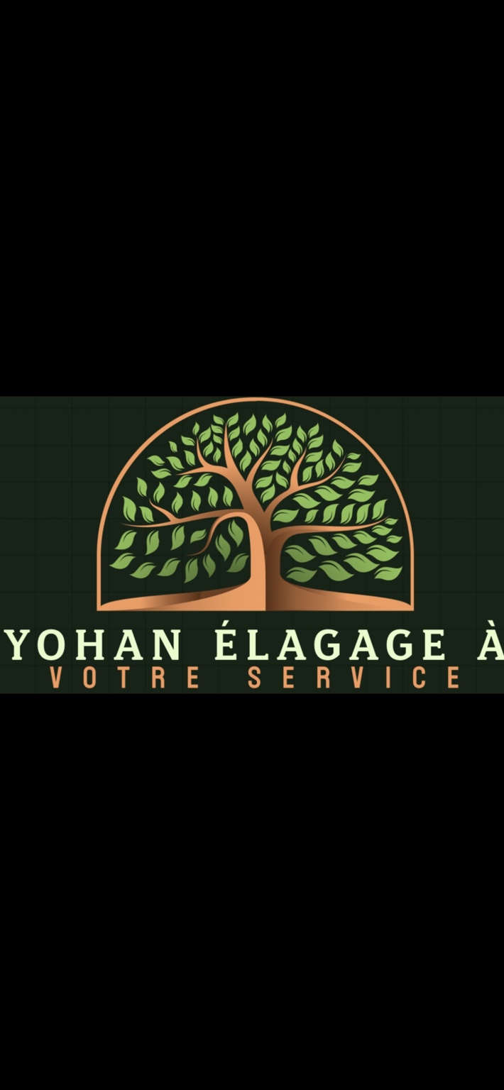Yohan Élagage à votre service — logo arbre orange et vert